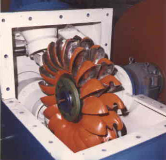 The 0.61 meter Pelton runner used at the Klemtu site develops 600 kW.